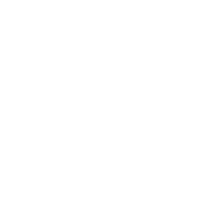 Google Project